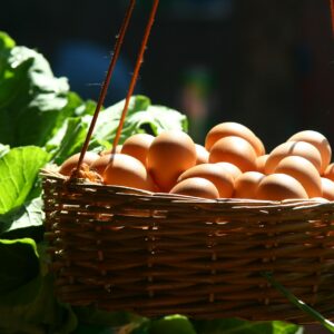 A woven basket filled with brown eggs hanging against a leafy background, bathed in sunlight.